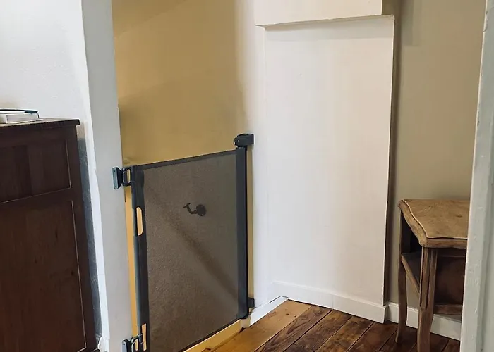 Famille Et Lacs En Duplex Celles-sur-Plaine